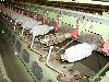  G+W Balling Machine, 1985, type 206, 20 spindles,